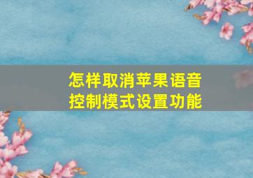 怎样取消苹果语音控制模式设置功能