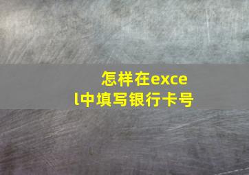 怎样在excel中填写银行卡号