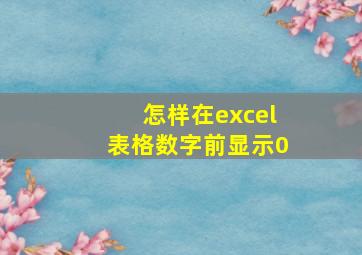 怎样在excel表格数字前显示0