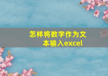 怎样将数字作为文本输入excel