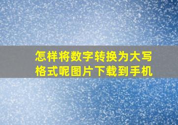 怎样将数字转换为大写格式呢图片下载到手机