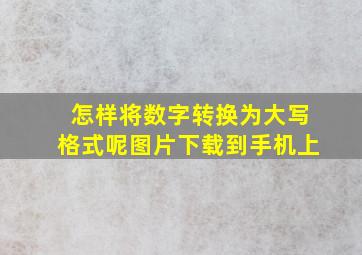 怎样将数字转换为大写格式呢图片下载到手机上