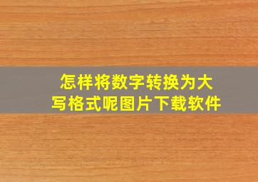 怎样将数字转换为大写格式呢图片下载软件