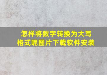 怎样将数字转换为大写格式呢图片下载软件安装