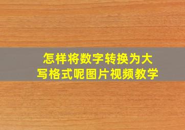 怎样将数字转换为大写格式呢图片视频教学