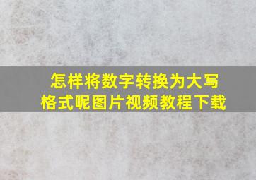 怎样将数字转换为大写格式呢图片视频教程下载