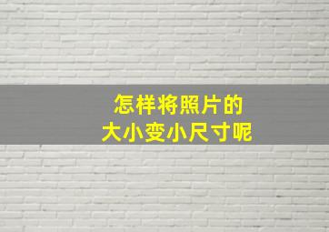 怎样将照片的大小变小尺寸呢