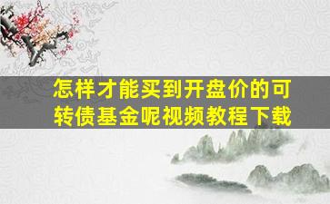 怎样才能买到开盘价的可转债基金呢视频教程下载