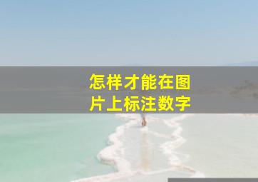 怎样才能在图片上标注数字