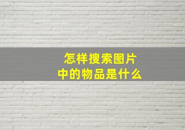 怎样搜索图片中的物品是什么