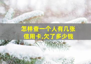 怎样查一个人有几张信用卡,欠了多少钱