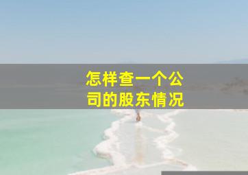 怎样查一个公司的股东情况