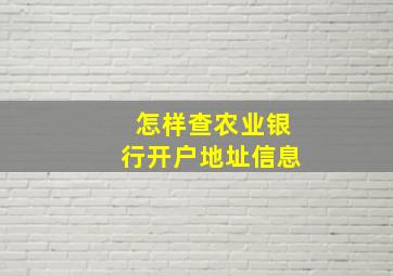 怎样查农业银行开户地址信息