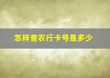 怎样查农行卡号是多少