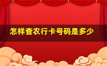 怎样查农行卡号码是多少