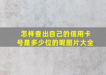 怎样查出自己的信用卡号是多少位的呢图片大全