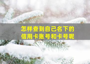 怎样查到自己名下的信用卡账号和卡号呢