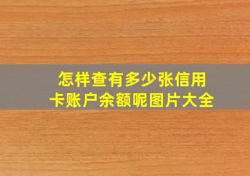 怎样查有多少张信用卡账户余额呢图片大全