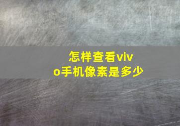 怎样查看vivo手机像素是多少