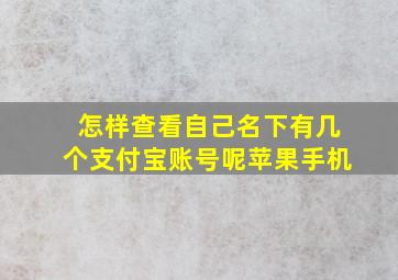 怎样查看自己名下有几个支付宝账号呢苹果手机