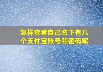 怎样查看自己名下有几个支付宝账号和密码呢