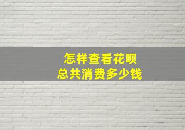 怎样查看花呗总共消费多少钱