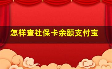 怎样查社保卡余额支付宝