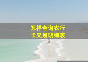 怎样查询农行卡交易明细表