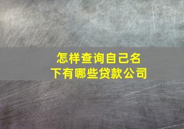 怎样查询自己名下有哪些贷款公司