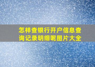 怎样查银行开户信息查询记录明细呢图片大全