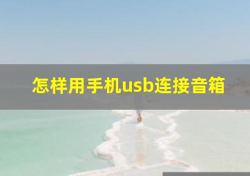 怎样用手机usb连接音箱