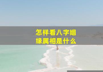 怎样看八字姻缘属相是什么