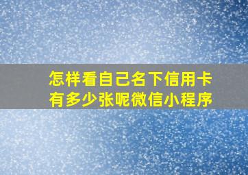 怎样看自己名下信用卡有多少张呢微信小程序