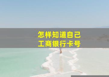 怎样知道自己工商银行卡号