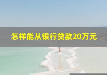 怎样能从银行贷款20万元