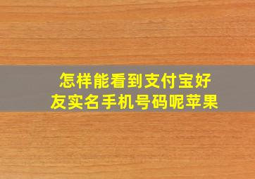 怎样能看到支付宝好友实名手机号码呢苹果