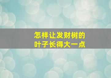 怎样让发财树的叶子长得大一点