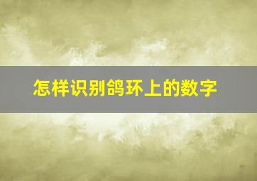 怎样识别鸽环上的数字