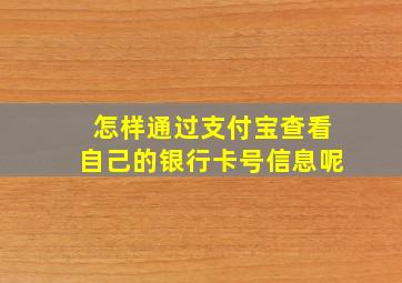 怎样通过支付宝查看自己的银行卡号信息呢