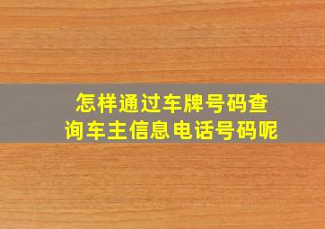 怎样通过车牌号码查询车主信息电话号码呢