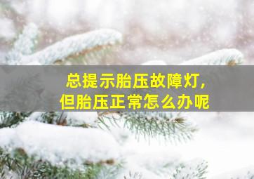 总提示胎压故障灯,但胎压正常怎么办呢