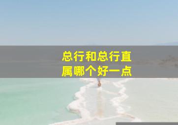 总行和总行直属哪个好一点