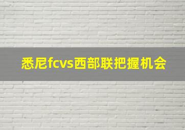 悉尼fcvs西部联把握机会