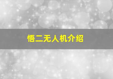 悟二无人机介绍