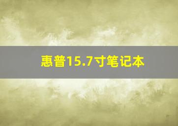 惠普15.7寸笔记本