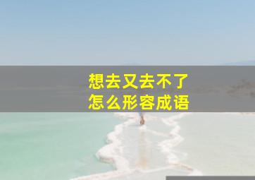 想去又去不了怎么形容成语