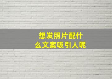 想发照片配什么文案吸引人呢