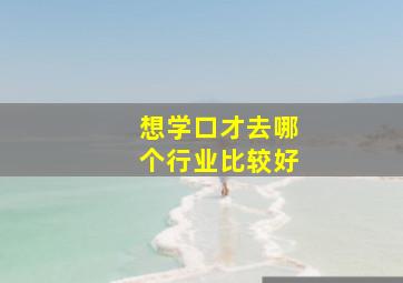 想学口才去哪个行业比较好