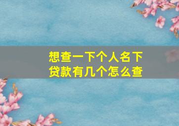 想查一下个人名下贷款有几个怎么查