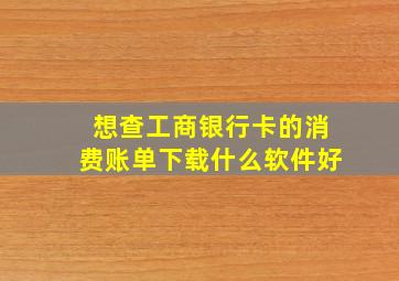 想查工商银行卡的消费账单下载什么软件好